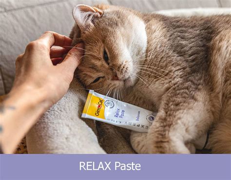 GimCat Expert Line Relax Paste паста мягкий антидепрессант ...