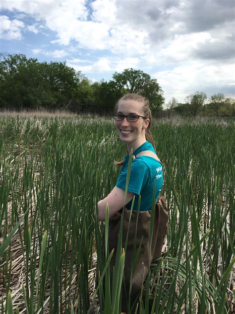 Blanding’s Turtle Research – Wildlife Epidemiology Laboratory