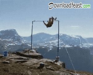 Most Funny GIFs - Find & Share on GIPHY