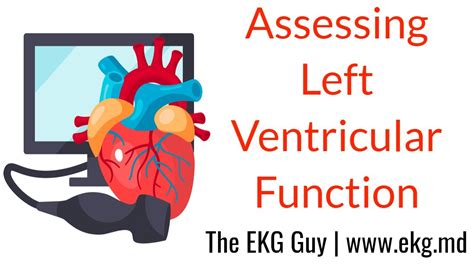 Assessing Left Ventricular Function - ECHO Course l The EKG Guy - www ...