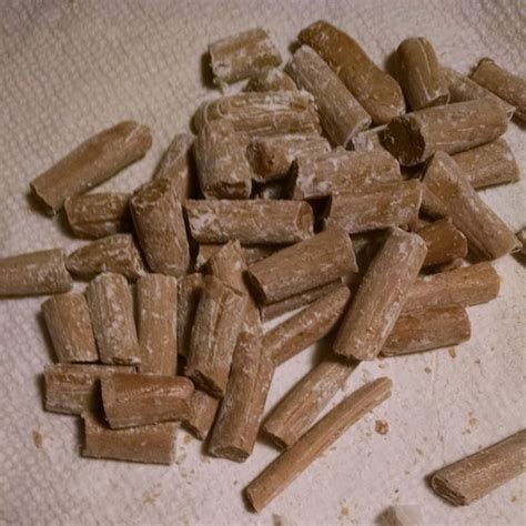 Spruce Gum - Etsy