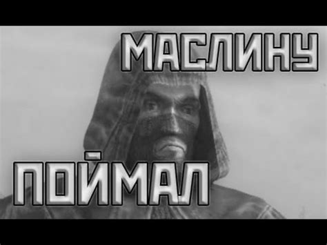 МАСЛИНУ ПОЙМАЛ - YouTube