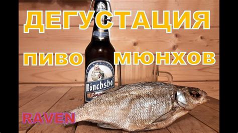 ПИВО МЮНХОВ ДЕГУСТАЦИЯ - YouTube