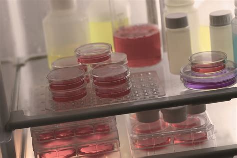 bio biological agentsjpg eurowin china