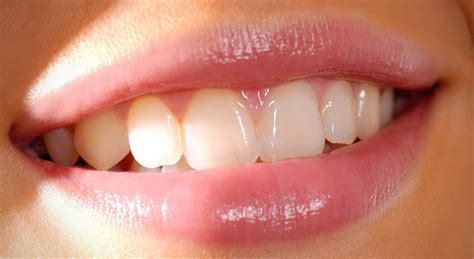 teeth verkko opetusmateriaali mozaik