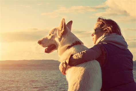 Signs You're A True Dog Lover