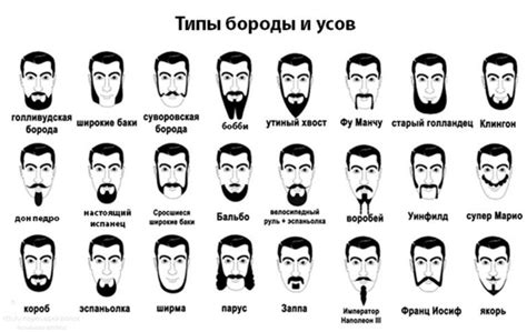 Различные типы усов — BorodaDeda.ru