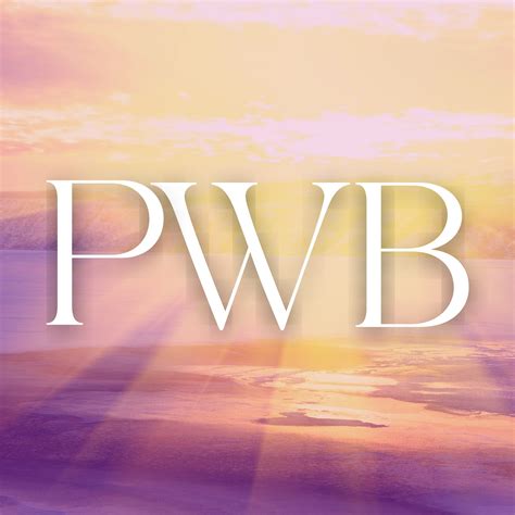 PWB - Perfect Work Bag