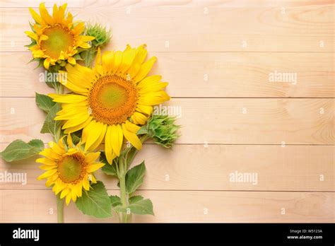 Beautiful sunflowers on wooden background Stock Photo - Alamy