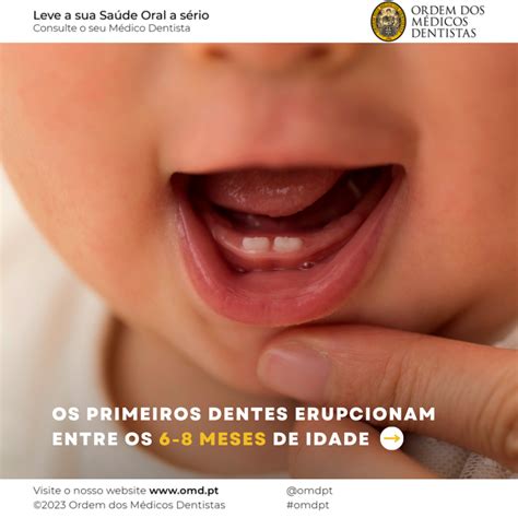 Com Quantos Anos A Criança Perde O Primeiro Dente - Quando nascem os primeiros dentes? - Ordem dos Médicos Dentistas