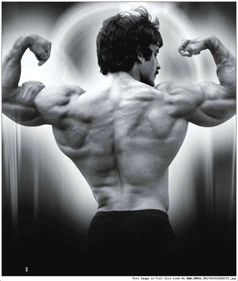 Майк Ментцер (Mike Mentzer), фотографии, биография, соревнования ...