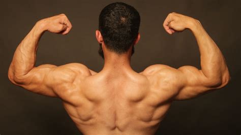 Best Exercises To Strengthen Your Back And Build A Strong Foundation