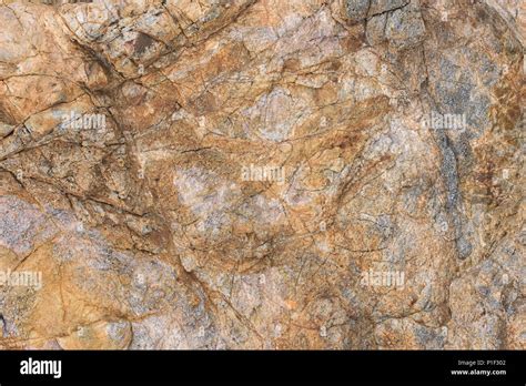 stone texture close  background surface  cracked stone stock photo