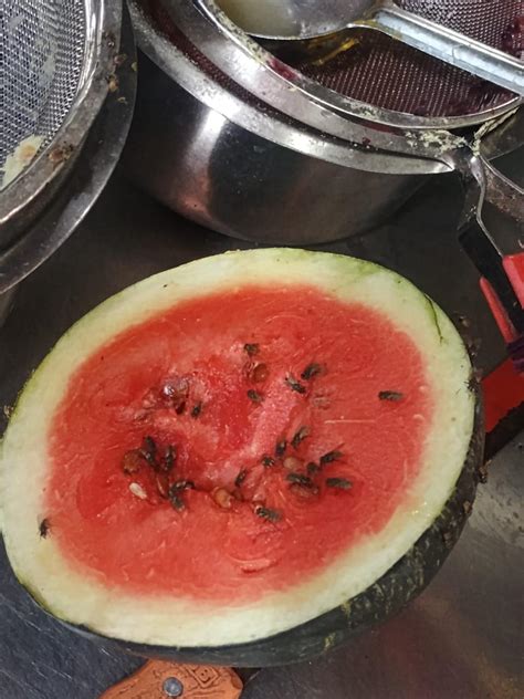 Food safety officials flag hygiene violations at juice shops in