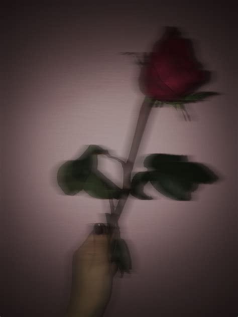 Dead Rose Wallpapers - Wallpaper Cave