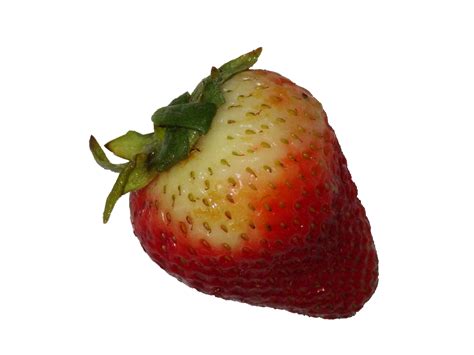 Strawberry Shortcake Leak: The Truth Behind The Viral Sensation Image 5