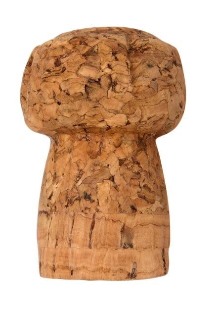 premium photo cork bottle