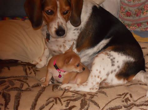 Pictures of Nikki Tyler