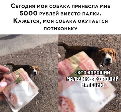 Просто прикольные картинки... / Приколы