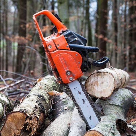 Chainsaw Buying Guide | Family Handyman