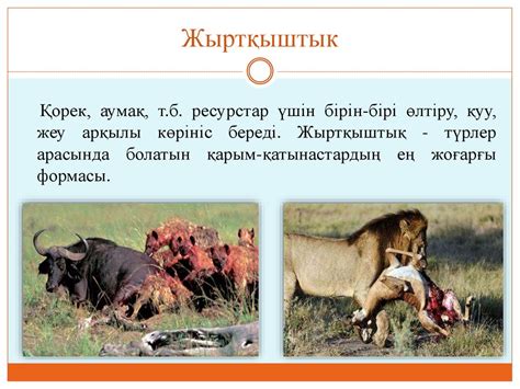 Экологиялық факторлар - презентация онлайн