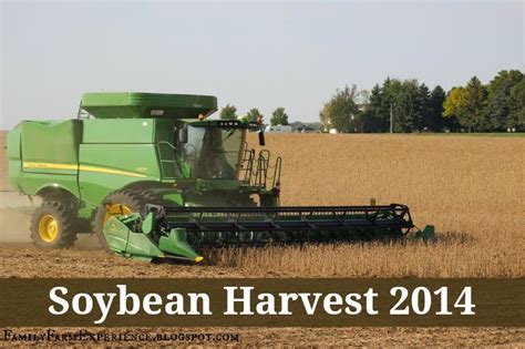 family farm experience soybean harvest