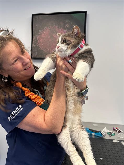 VCA Hyannis Animal Hospital | West Yarmouth MA