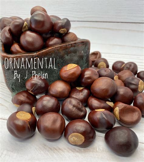 Buckeye Nuts 3/4 Lb 100 Small Size, Real Dried Buckeyes Harvested in