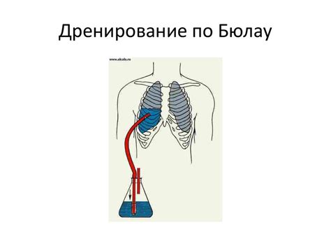 Повреждения и заболевания грудной клетки и её органов - презентация онлайн