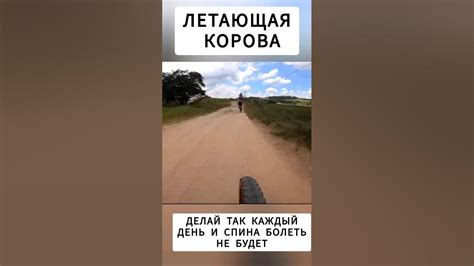 Летающая корова - YouTube