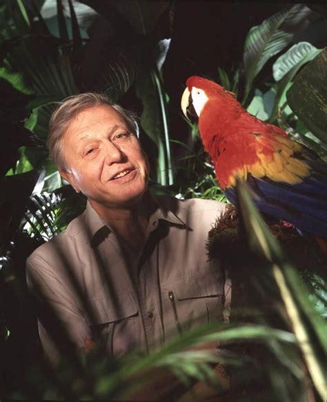 David Attenborough's Adventures of a young naturalist review | Books ...