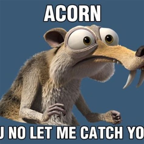 Lol...... Poor scrat | Ice age movies, Ice age, Disney funny