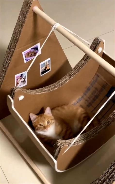 Дом для кошки | Giocattoli per gatti fatti in casa, Gatto fai da te ...