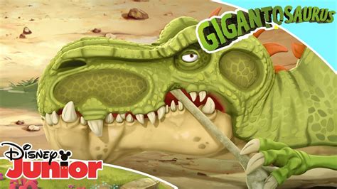 📝 Giganto's Boss! | Gigantosaurus | Disney Kids - YouTube