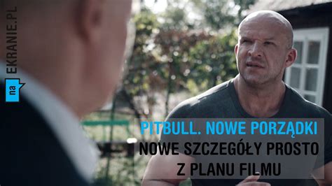 PITBULL. NOWE PORZĄDKI - Wiele ciekawych informacji. - YouTube