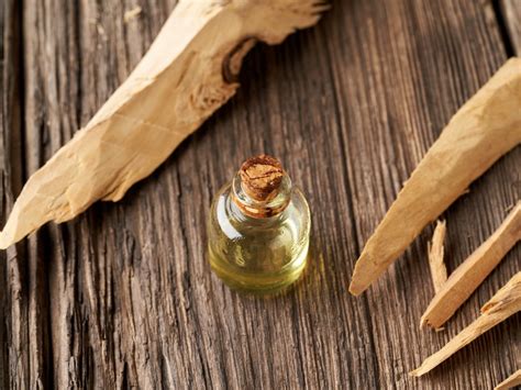 9 Amber Woody Fragrances: Winter's Special Scents | Everfumed | The Art ...
