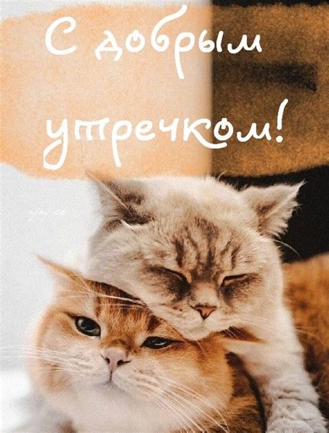 Pin by Анжелика Щедрина on Открытки-Осень | Good morning, Funny ...