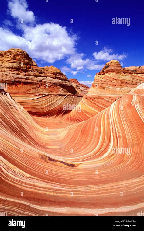 wave coyote buttes paria vermilion cliffs wilderness arizona