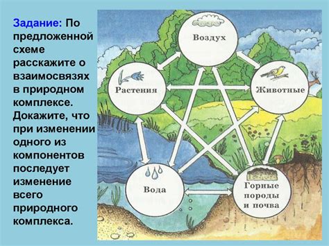 Закономерности географической оболочки. Взаимодействие природы и ...