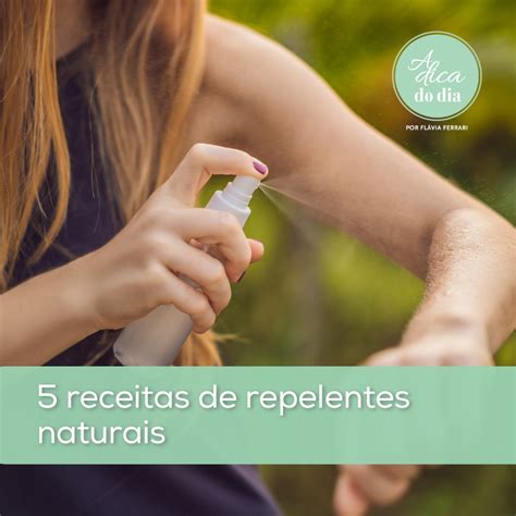 Receita Caseira De Repelente - 5 RECEITAS DE REPELENTES NATURAIS - FLÁVIA FERRARI