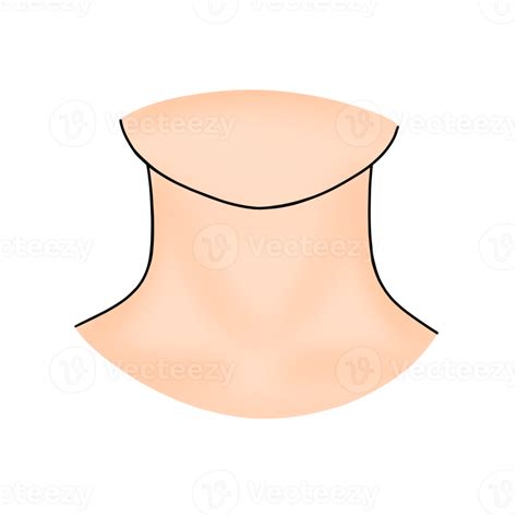 neck pngs