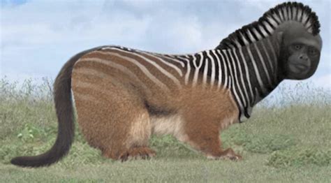 MIXED UP ANIMALS