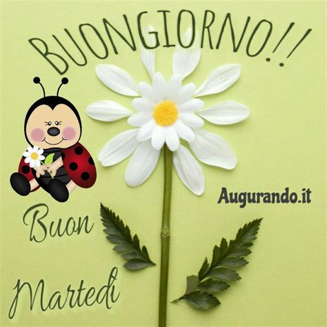 Buon Martedì con fantastiche immagini entra!