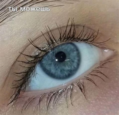 ️‍🩹😌🤎 | Yeux bleus, Cils, Faire pousser les cils