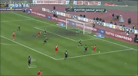 celebration football gif | WiffleGif