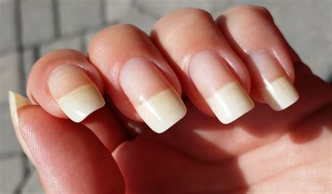 Nail Growth Routine at Tammy Archibald blog