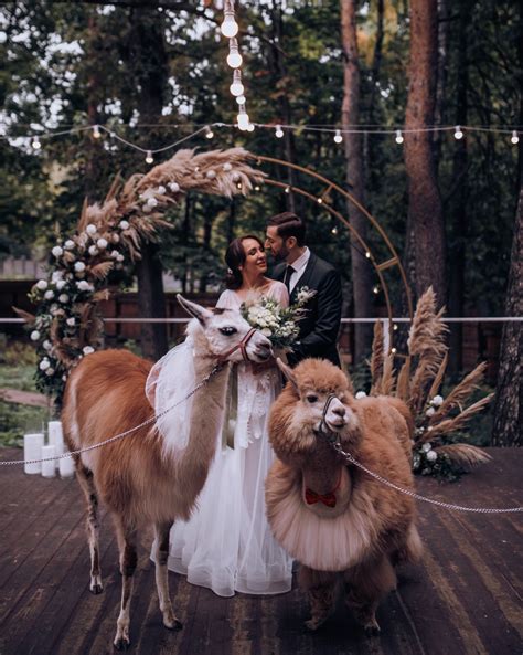 Romantic rustic: свадьба в усадьбе - Weddywood
