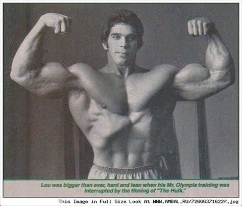 Лу Ферриньо (Lou Ferrigno), фотографии, биография, соревнования ...
