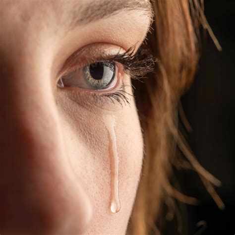 triste definition signification  synonymes le dictionnaire