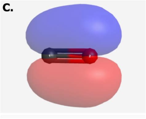 Solved Identify Each Image as Either an S or P Molecular | Chegg.com